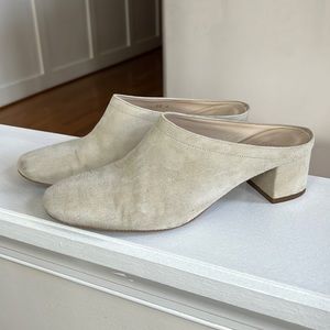 Everlane suede mules